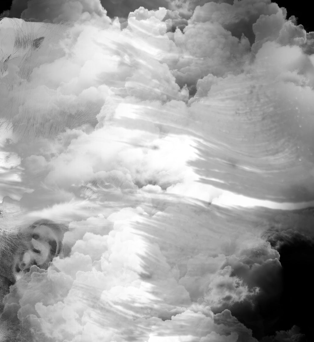 Another Earth Xray